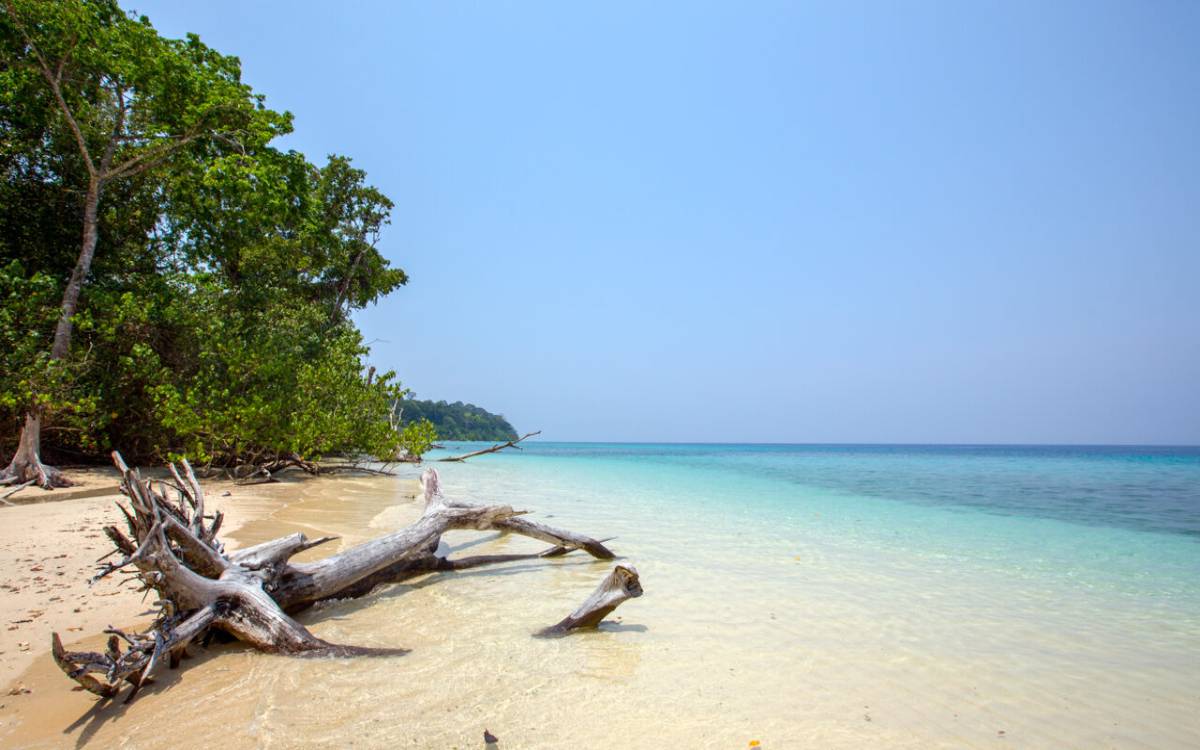 Havelock Island